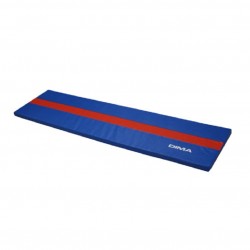 TAPIS POUTREBANDE CENTRALE DE 10CM DE LARGE 200 X 50 X 4 CM