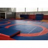 REVERSIBLE EDUCATIONAL WRESTLING MAT COVER1 CIRCLE / 4 CIRCLES