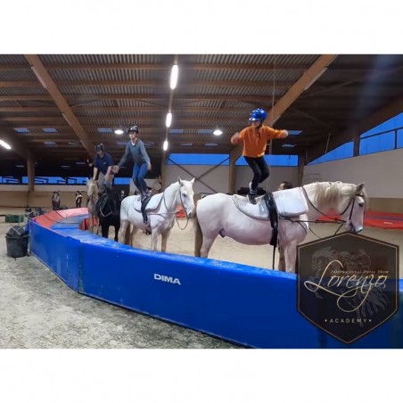 CERCLE DE VOLTIGE EQUESTRE