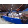 CERCLE DE VOLTIGE EQUESTRE