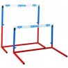 DIMASPORT SCHOOL HURDLESET OF 3 OR 6