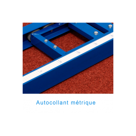 POLE-VAULT RAIL WITH SLIDING CART TO BE FIXED OR EMBEDDED PER LINEAR METER