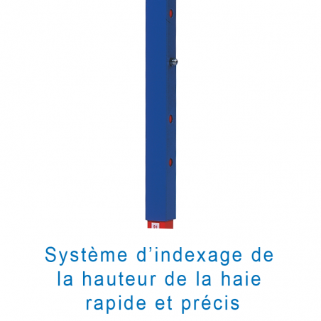 HAIE INTERNATIONALE ALUMINIUM PEINTE