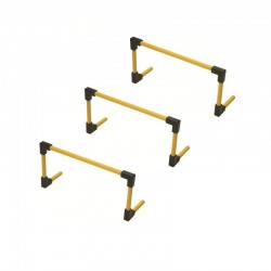 HAIES PPG HAUTEUR REGLABLELOT DE 3