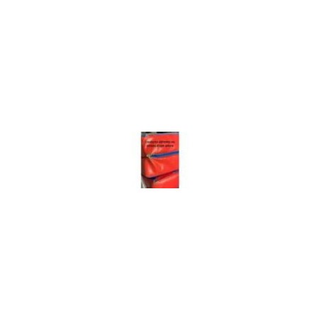 BON PLAN - CHEMIN DE GYMNASTIQUE CLASSIQUE ASSOCIATIF VELCRO EN BOUTS 600X100X5CM