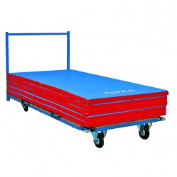 HORIZONTAL SPORT MATTRANSPORT CART200 X 100 CM