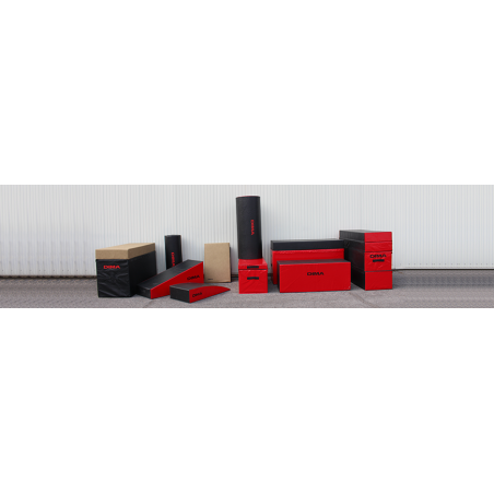 PARKOUR ET FREERUNNING