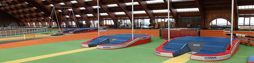 POLE VAULT LANDING SYSTEM AND AREAS |TRACK EQUIPMENT | DIMASPORT