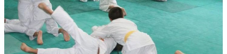 TATAMIS JUDO AND MARTIAL ARTS